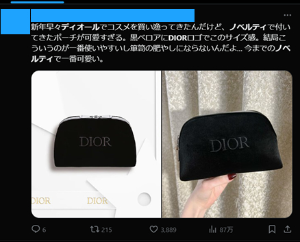 Diorのオリジナルノベルティポーチ