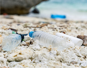 海洋プラスチックゴミ問題に直面する海の様子